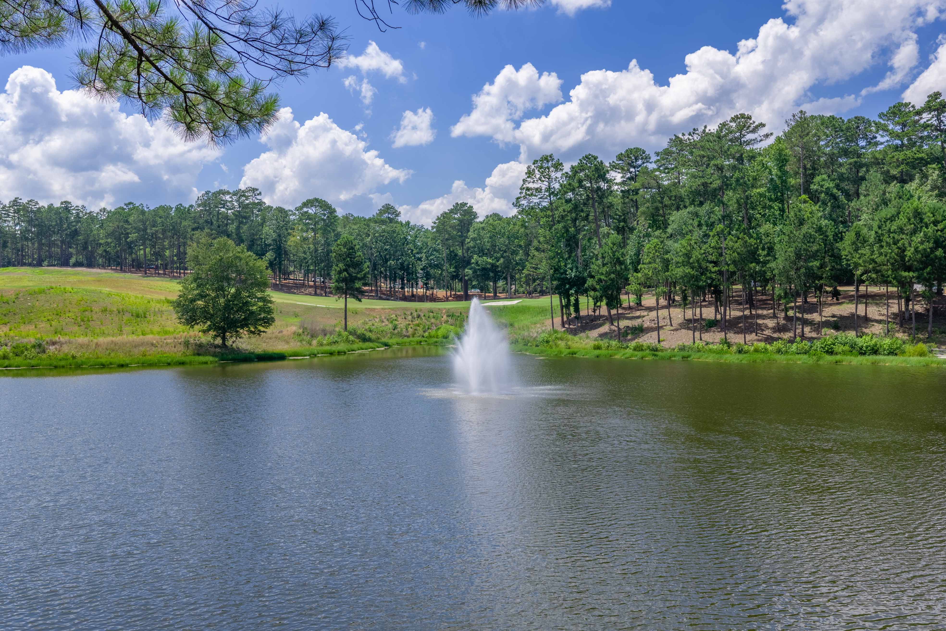 1049 Pond Crest Lane image 56